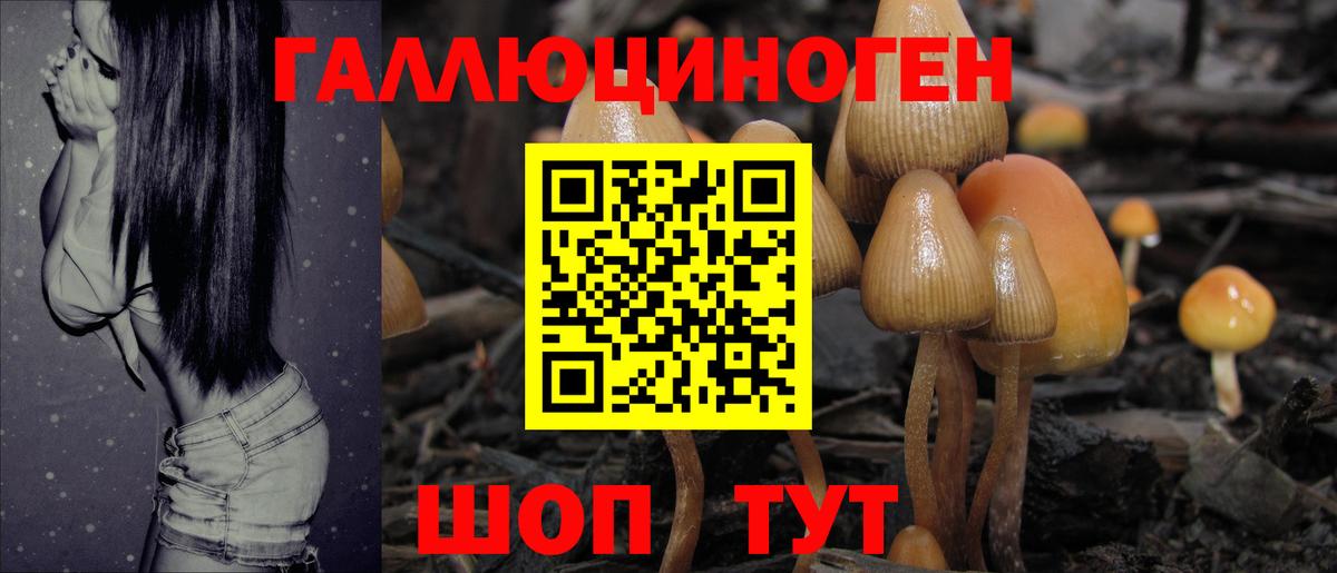 Якутск  Псилоцибиновые грибы GOLDEN TEACHER  Псилоцибиновые грибы ЛСД  Вход с VPN 